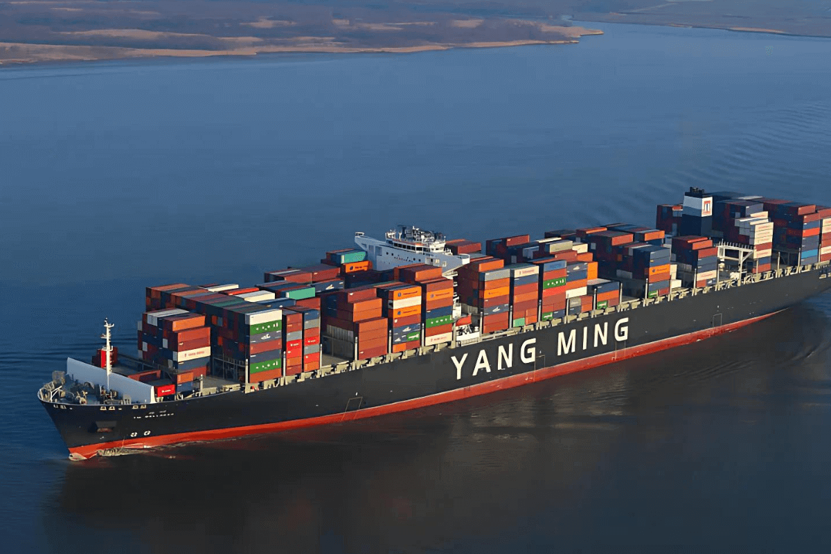 yang ming